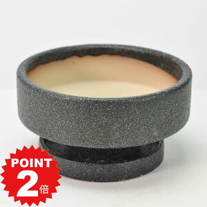 |Cg2{`11܂ŁIAؔ V _۔ 󂯎Mt ubN 4 13cm×6cm ϗtA A ~j~ bonsai R쑐 A