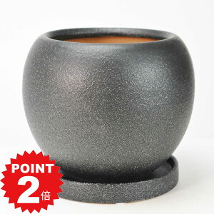 |Cg2{`11܂ŁIAؔ hg _۔ 󂯎Mt ubN 6 18cm×14.5cm ϗtA A ~j~ bonsai R쑐 A