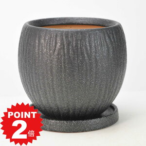 |Cg2{`11܂ŁIAؔ tHe _۔  󂯎Mt ubN 5 14cm×12cm ϗtA A ~j~ bonsai R쑐 A