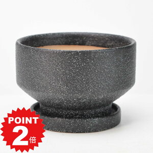 |Cg2{`11܂ŁIAؔ [ _۔ 󂯎Mt ubN 4 12cm×7.5cm ϗtA A ~j~ bonsai R쑐 A
