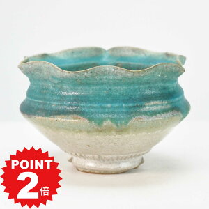 |Cg2{`11܂ŁI~͔ Aؔ My F蔫 5 15cm×s15.5cm×10cm ~j~ R쑐 A bonsai