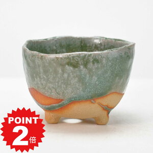 |Cg2{`11܂ŁI~͔ Aؔ My o^Oc 葢蔫 4  11cm×7.5cm ~j~ R쑐 A bonsai