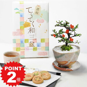 |Cg2{`11܂ŁIhV̓ ~ ~|j(󂯎Mt)ƘaO~NbL[Zbg ~j~ Mtg v[g 蕨 A  XC[c Ăَq bonsai