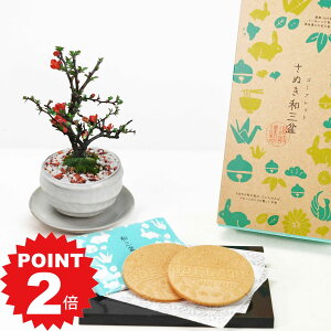 |Cg2{`11܂ŁIhV̓ ~ ~j~ga(󂯎Mt)ƘaO~S[tbgZbg ~j~ Mtg v[g 蕨 A  XC[c Ăَq bonsai