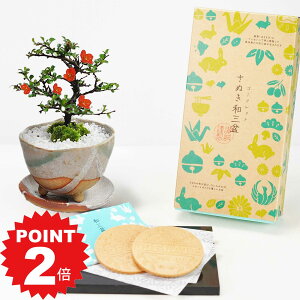 |Cg2{`11܂ŁIhV̓ ~ ~|j(󂯎Mt)ƘaO~S[tbgZbg ~j~ Mtg v[g 蕨 A  XC[c Ăَq bonsai