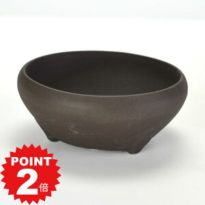 |Cg2{`11܂ŁI~͔ Aؔ ˏ ED4S 13cms15.7cm5.5cm R쑐 ϗtA A ~` 