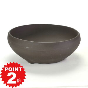 |Cg2{`11܂ŁI~͔ Aؔ ˏ ED7.5S 23.7cms23.7cm8.5cm R쑐 ϗtA A ~` 