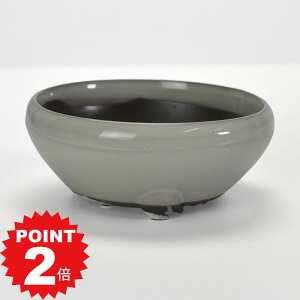 |Cg2{`11܂ŁI~͔ Aؔ ˏ N[4S 13cms13cm5.5cm R쑐 ϗtA A ~` 