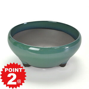 |Cg2{`11܂ŁI~͔ Aؔ ˏ Ix5S 15.7cms15.7cm6.7cm R쑐 ϗtA A ~` 