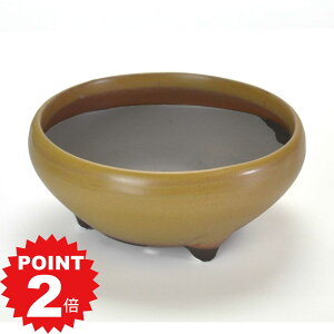 |Cg2{`11܂ŁI~͔ Aؔ ˏ 5S 15.7cms15.7cm6.7cm R쑐 ϗtA A ~` 