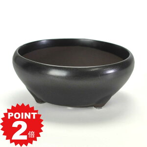 |Cg2{`11܂ŁI~͔ Aؔ ˏ }bg4S 13cms13cm5.5cm R쑐 ϗtA A ~` 