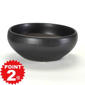 |Cg2{`11܂ŁI~͔ Aؔ ˏ }bg6S 19cms19cm7.7cm R쑐 ϗtA A ~` 