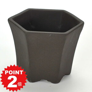 |Cg2{`11܂ŁI~͔ Aؔ ˏ ED2.5ZpPKC 8cms8cm6cm R쑐 ϗtA A Zp`