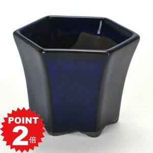 |Cg2{`11܂ŁI~͔ Aؔ ˏ q2.5ZpPKC 8cms8cm6cm R쑐 ϗtA A Zp`