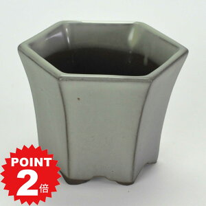 |Cg2{`11܂ŁI~͔ Aؔ ˏ N[2.5ZpPKC 8cms8cm6cm R쑐 ϗtA A Zp`