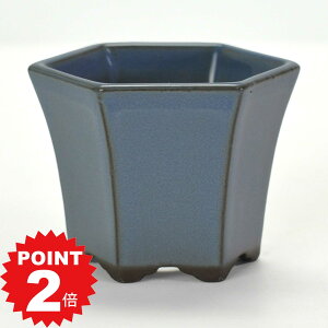 |Cg2{`11܂ŁI~͔ Aؔ ˏ L[2.5ZpPKC 8cms8cm6cm R쑐 ϗtA A Zp`