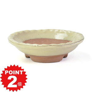 |Cg2{`11܂ŁI~͔ Ï N[4.5ό^ېw} 13.5cms13.5cm3.5cm Aؔ R쑐 픫 ~ ۖ~ ϗtA A
