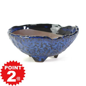 |Cg2{`11܂ŁI~͔ Ï q5ێOc 16cms16cm6.5cm Aؔ R쑐 픫 ~ ۖ~ ϗtA A