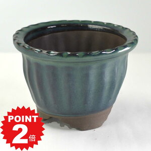 |Cg2{`11܂ŁI~͔ Ï Ix4 13.5cms13.5cm9.5cm Aؔ R쑐 픫 ~ ۖ~ ϗtA A