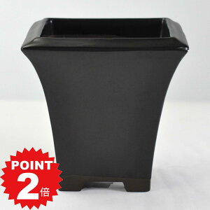 |Cg2{`11܂ŁI~͔ ˏ }bg4pPKC 12.3cms12.3cm12cm Aؔ R쑐 픫 ~ ۖ~ ϗtA A