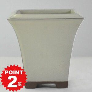|Cg2{`11܂ŁI~͔ ˏ N[4pPKC 12.3cms12.3cm12cm Aؔ R쑐 픫 ~ ۖ~ ϗtA A