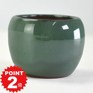 |Cg2{`11܂ŁI~͔ Ï O[2 ۔ 6.2cms6.2cm5cm Aؔ R쑐 픫 ~ ۖ~ ϗtA A