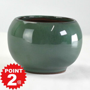 |Cg2{`11܂ŁI~͔ Ï O[2.5۔ 8cms8cm5.7cm Aؔ R쑐 픫 ~ ۖ~ ϗtA A