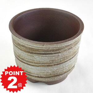 |Cg2{`11܂ŁI~͔ Ï nP 3.5 K 11cms11cm8.5cm Aؔ R쑐 픫 ~ ۖ~ ϗtA A