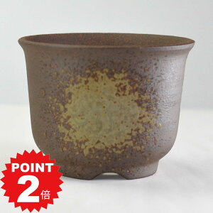 |Cg2{`11܂ŁI~͔ Ï r[h3.5 K 11cms11cm8.5cm Aؔ R쑐 픫 ~ ۖ~ ϗtA A