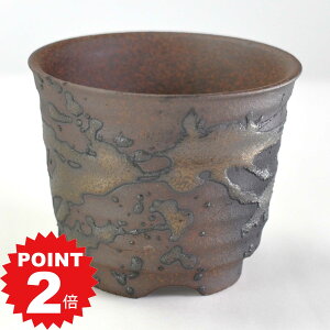 |Cg2{`11܂ŁI~͔ Ï 3 Z 9.2cms9.2cm7.5cm Aؔ R쑐 픫 ~ ۖ~ ϗtA A