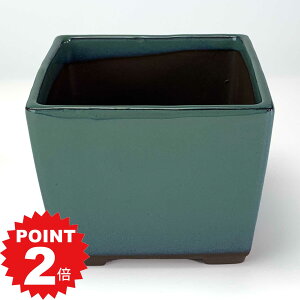 |Cg2{`11܂ŁI~͔ ˏ p4 Ix 11.5cm×8.7cm Aؔ R쑐 픫 ~ ۖ~ ϗtA A