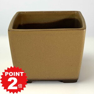 |Cg2{`11܂ŁI~͔ ˏ p4 ? 11.5cm×8.7cm Aؔ R쑐 픫 ~ ۖ~ ϗtA A