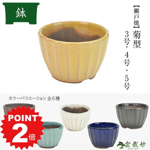 |Cg2{`11܂ŁI~͖yˏāz e^ ~͔ 3 4 5 ED q N[ Ix  }bg 9.8cm 12.5cm 15cm ~͔ R쑐 Aؔ ی`  ~ R쑐 ϗtA 