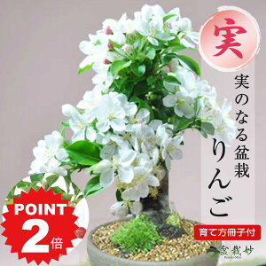 |Cg2{`11܂ŁI~j~  ~j~j~ PS  My 킢  AS   v[g Mtg 蕨 i a ̓ jސE JXj 