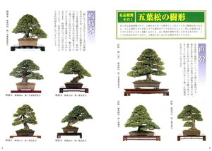 yЁz~ ܗẗĕ { ubN@ߑoŁy~ ~j~ ~͓z