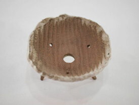 【信楽焼】【植木鉢】白マット高足付浅鉢 3号鉢【ミニ 小 3号 豆盆栽 ミニ盆栽 小さい 陶器 植え替え鉢盆栽鉢おしゃれかわいいサイズ】
