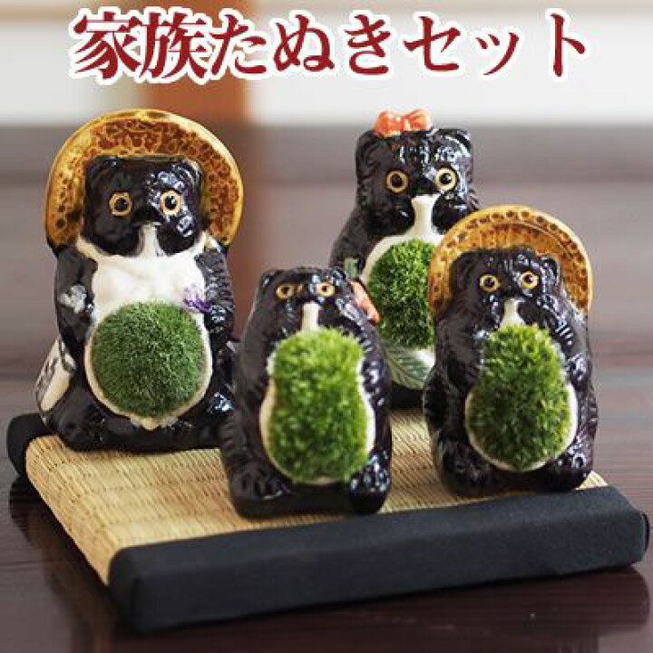 楽天市場】盆栽 家族たぬきの苔盆栽 4体セット信楽焼 置物 コケ 