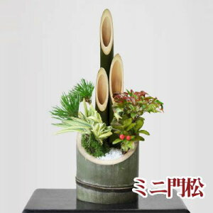 ~j叼 񂹐A  ~͐EldĂ̖叼[12/23ȍ~ɂ͂]VN J^ VRf 叼y Mtg ~ JX j ސE bsO ̓ ̓ hV̓ az