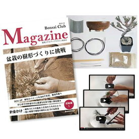 盆栽を作るキット 初級編 本格的に作る盆栽 自由研究 黒松の針金かけ【盆栽を趣味にしたい人は必見！盆栽を作るキット 入門編　くねくね黒松を作ろう 工作キット手作りキット 自由研究 自由工作 小学生 】