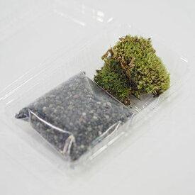 盆栽お試し用 苔砂利パック 和 観葉植物 職人 趣味 ホビー 紅葉盆栽 黒松 桜 ミニ盆栽 bonsai 盆栽 入門 初心者 おためし ボンサイ 桜特集