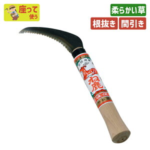 ˎ󑐔100mm K[fjO |pi   芙   _ p H ƒ؉ n n ؍H O