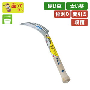 ؐ؊߁ijXeX K[fjO |pi   芙   _ p H ƒ؉ n n ؍H O