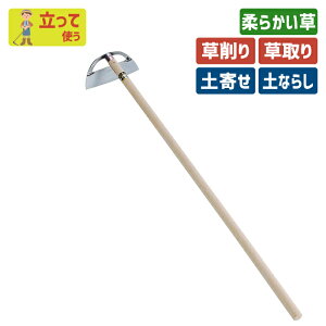 �y�X�[�p�[SALE �|�C���g5�{�z�y�ۏؕt�z�����Ԍ���I�}�P�t���� �i�S�|�j�X�e�����X�����z�[210mm �K�[�f�j���O ������ �L ���� �N�� �y�Ȃ炵 �y�x�� ���@�� �y�N���� ����� ����� ���|�p