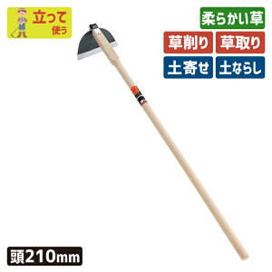 ※期間限定オマケ付き※ (手打鋼付)唐鍬ホー210mm ガーデニング くわ クワ 土ならし 土堀り 穴掘り 土起こし ホー 園芸用品 農業 農作業 用具 工具 家庭菜園 収穫 刃物 浅野木工所 燕三条