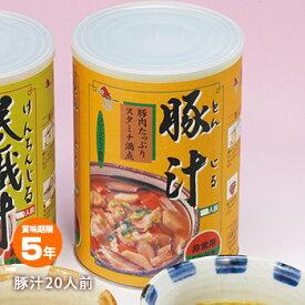 非常食保存用豚汁270g 約20食分 【賞味期限2029年3月迄】備蓄食 即席