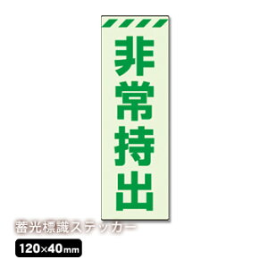 Pxۊǌɕ\XebJ[w펝oxcNoF831-64i~W jbg Uj