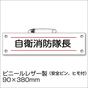 hИŕwqhxBW-22 hЌP 񂵂傤 D [M 1/10]