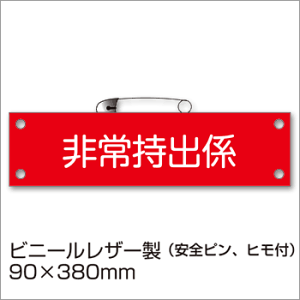 hИŕw펝oWxBW-21 hЌP 񂵂傤 D [M 1/10]