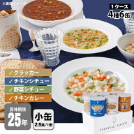 非常食セット 25年保存 サバイバルフーズ バラエティセット 小缶 6缶セット 約15食相当 4種 チキンカレー…
