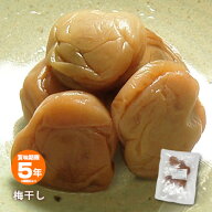 防災備蓄食梅干し 【賞味期限2031年7月迄】 [M便 1/6]
